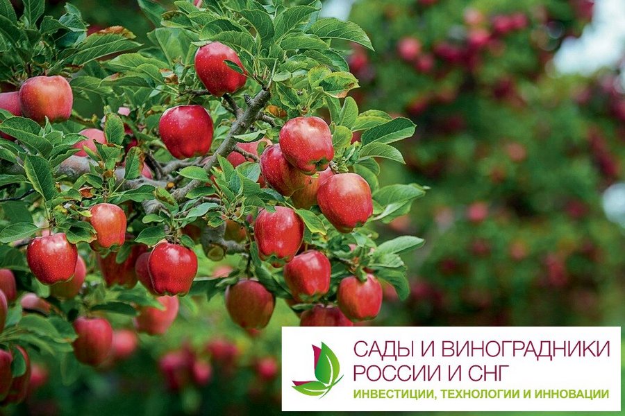 gardensforum 2022